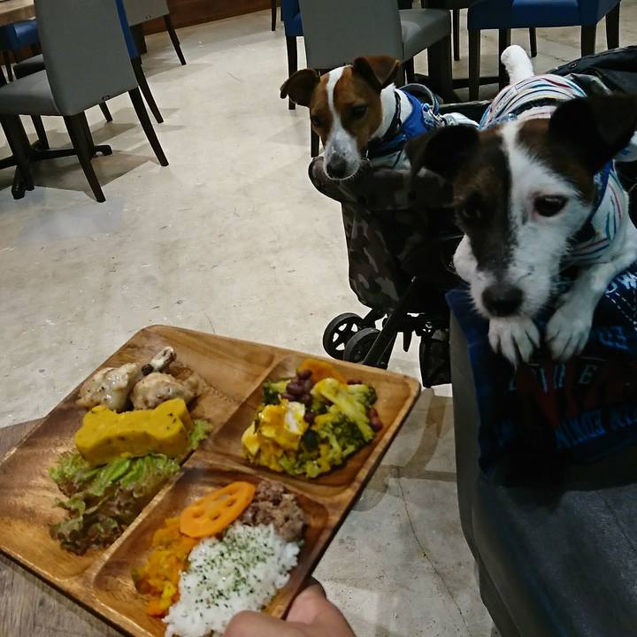 57a65edc 212d 4f30 a00d 61f4d153cd26 1536319420067