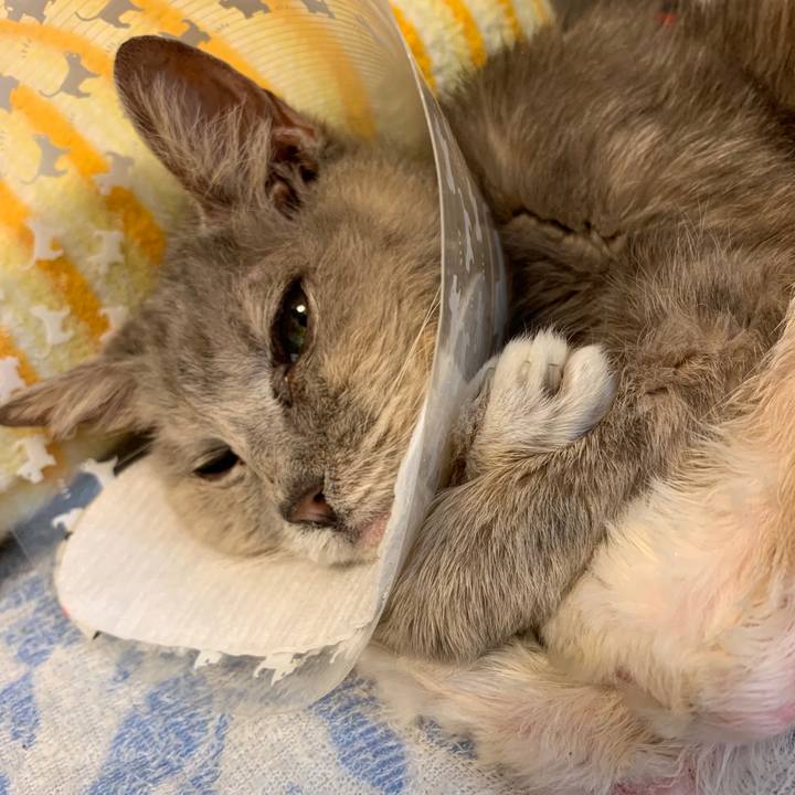 57a67512 0bd2 4d06 a023 6231a04a1b2b 1556848110355