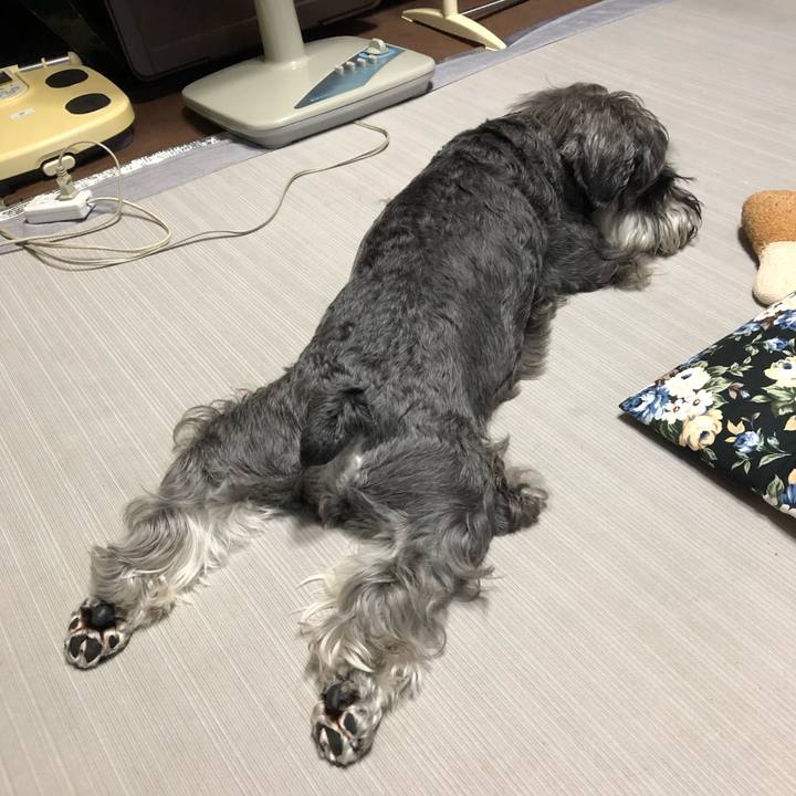 57a68cd6 c351 4051 9d7f 890015d3da40 1592128466278