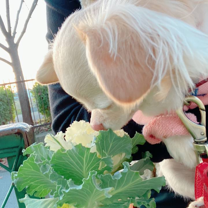 57a6a7b2 4840 4a97 befb c43bce34b4b3 1639038301125