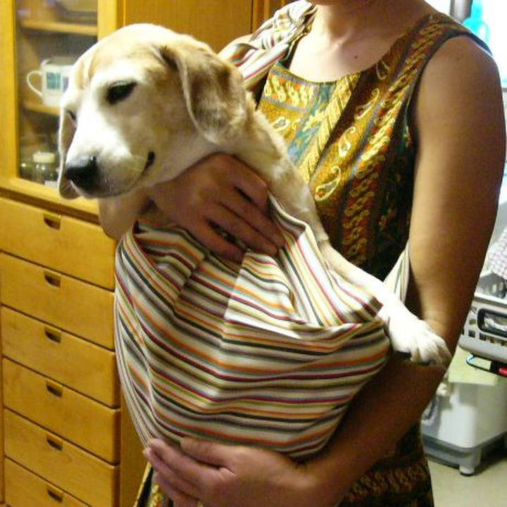 57a6c113 44b6 42b1 8bc7 9b1385d7eae2 1668559692907