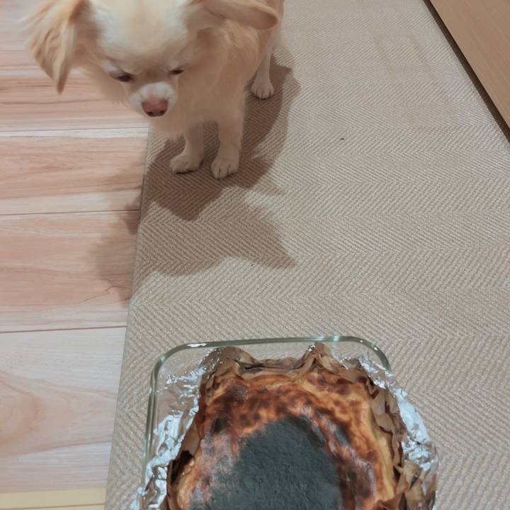 57a6ea0e bf8a 4141 9294 94906c2dcaaf 1700880214231