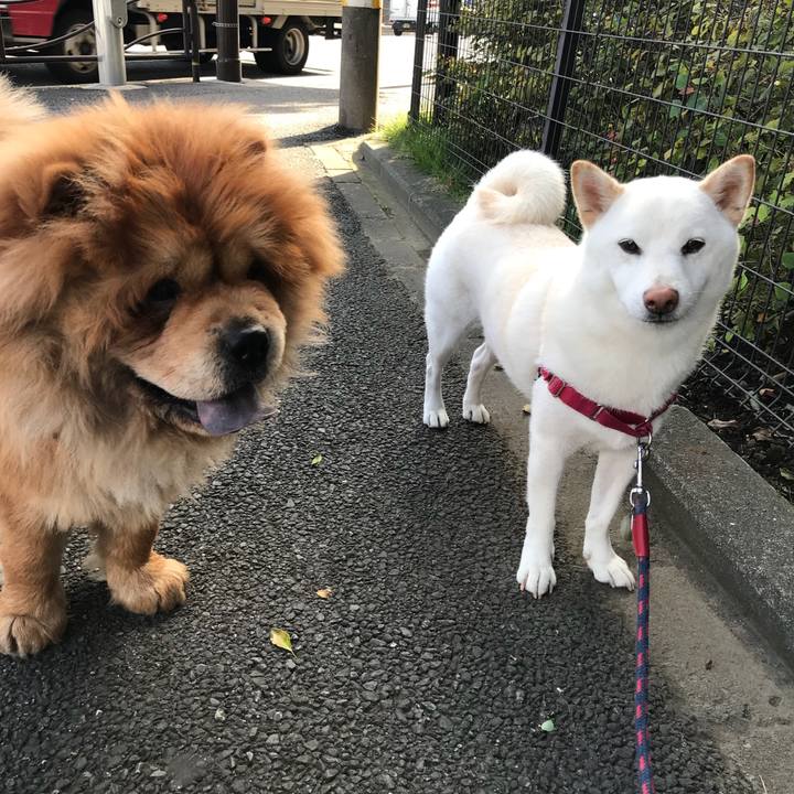 57a713a8 ed90 40f2 bb64 74839464e771 1539043220714