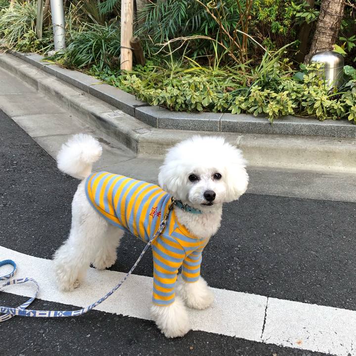 57a7508e 4a26 4513 853c 362400921324 1582530361068