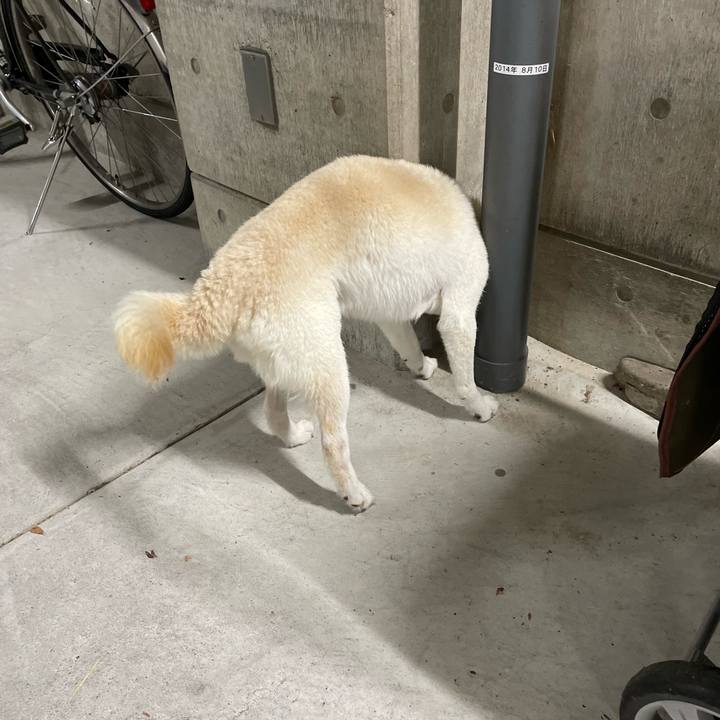 57a75656 e3e6 400d 8e44 7cb6b87d597a 1651068820151