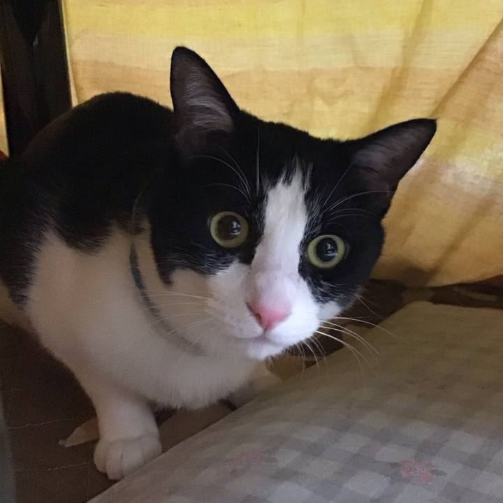 57a78b1a 41ef 4239 9cc6 3bb53afc6533 1684753987749