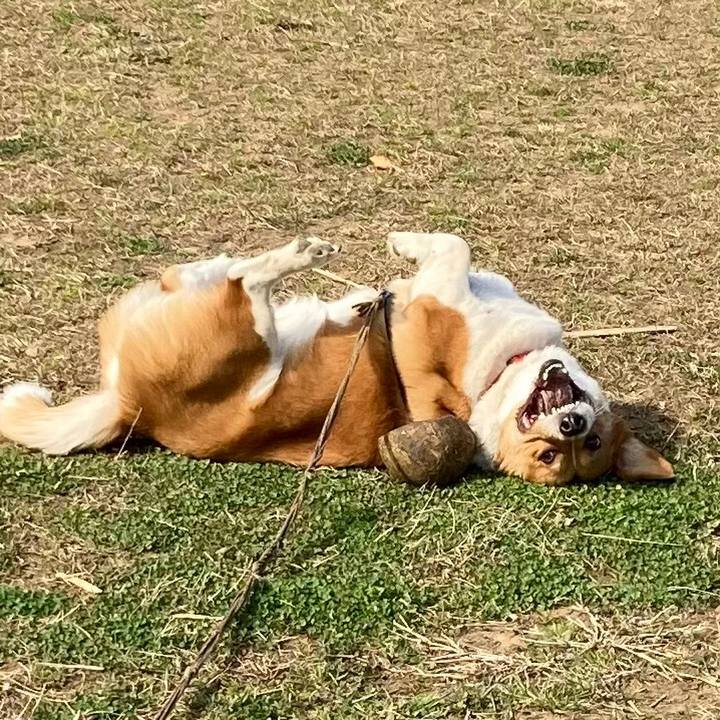 57a79e46 ad77 4188 8d1c a10aae9aad59 1677723097406