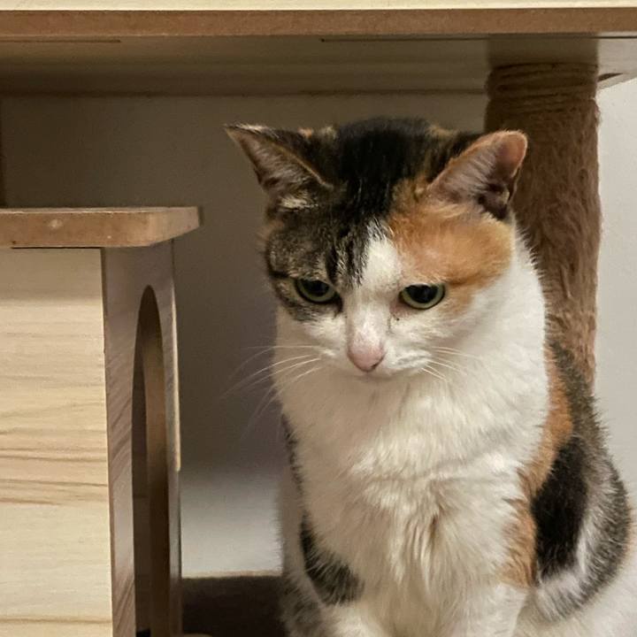 57a79f2b 3ed2 43a5 9de8 dac9e6f12227 1703425694218