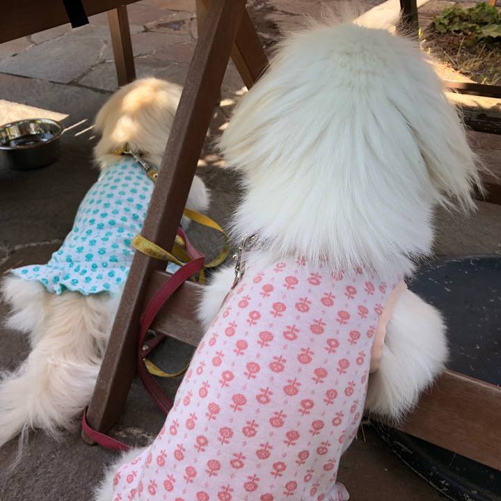 57a7a8ef c46c 45de 9be0 2a4ff5b5a71c 1532403564238