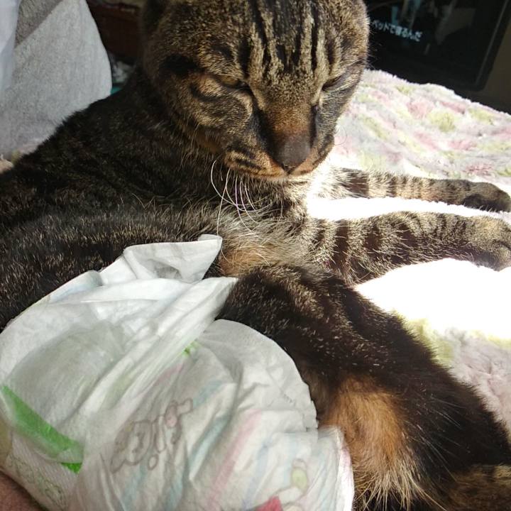 57a7bcc3 c8dd 490c a8cb 6281320a179b 1619503290278