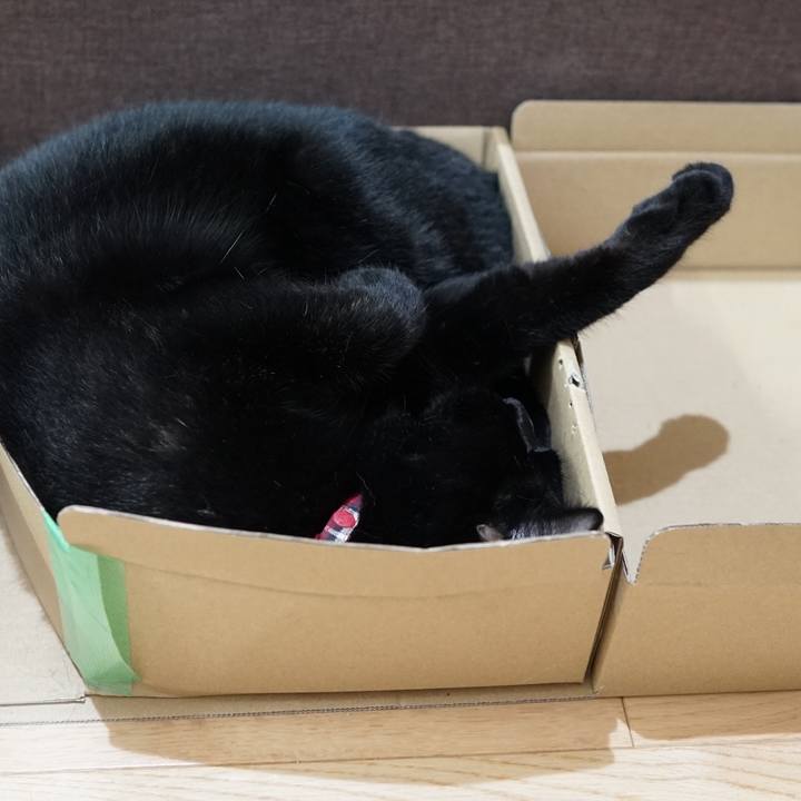 57a7feca eb3d 4791 9a6d 694c7bf5f94f 1562111719060