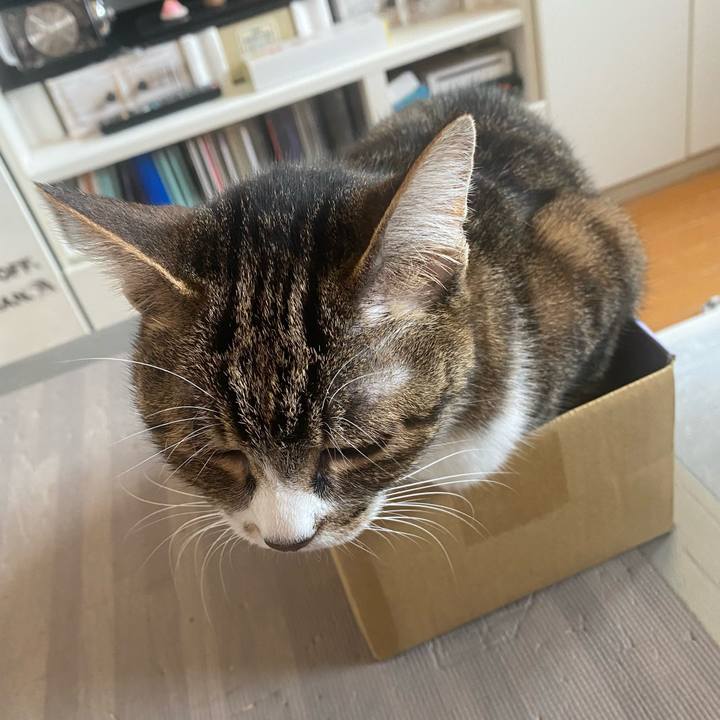 57a820b6 6004 4272 a798 5f4195a85b1f 1652921648045