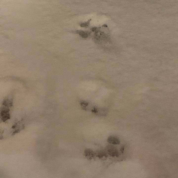 57a83783 042b 4a63 a528 e59aa1f3deb4 1707124557011