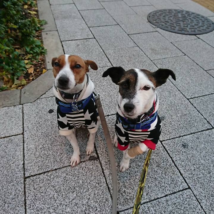 57a8554f e80a 4336 aeb1 229b7749a70f 1545255955947