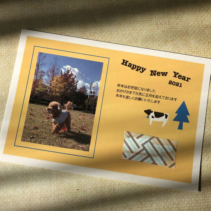 57a8595e 68bf 41f9 af1a 8b014ac61b59 1609899227013