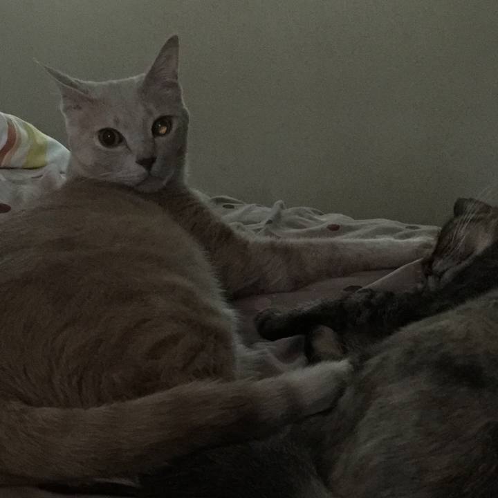 57a85fcc 33e6 4bd0 82c6 2e53c96e213d 1535321863082