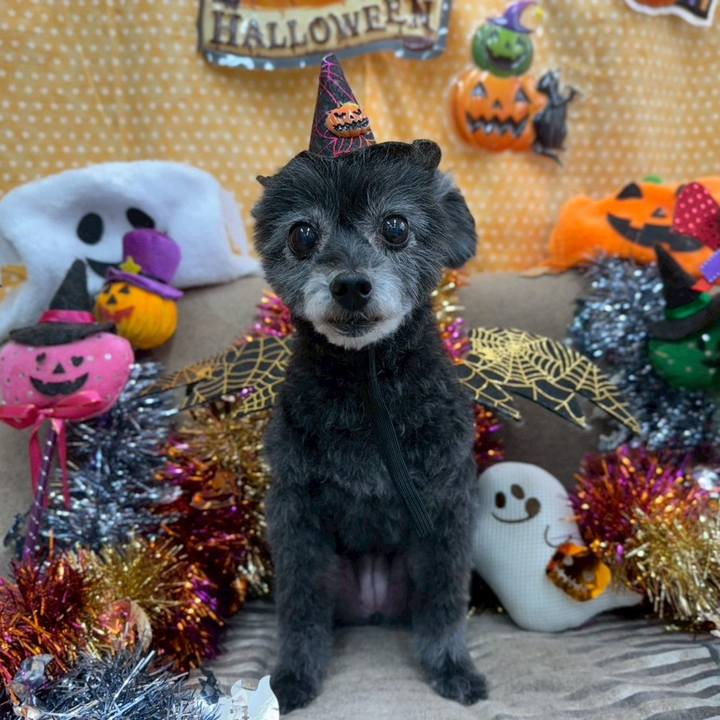 57a86c70 8719 449d 9b75 fb0a9cbfb88c 1758456834341