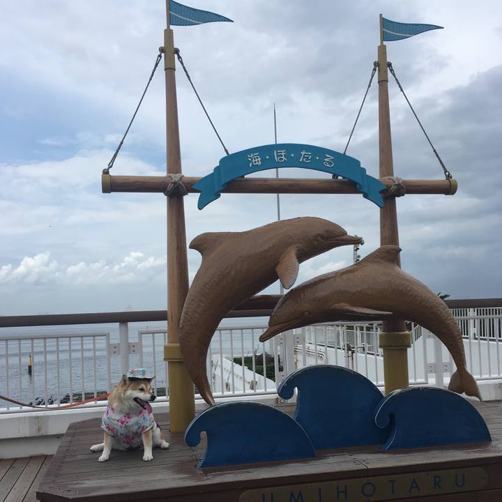 57a87cfc 1620 4425 b1fd dddd5b6d5b94 1563429952577