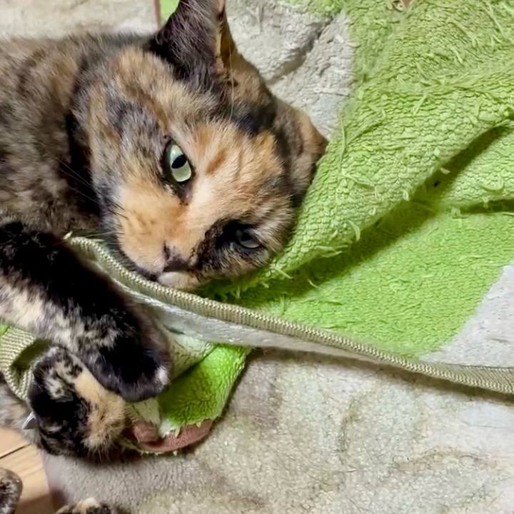 57a89279 8c37 42c7 993f d79796e79975 1747168565081