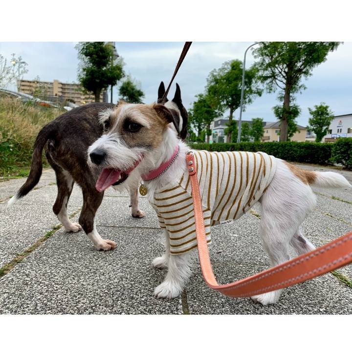 57a8a81a 69b4 4a34 98f8 5403e0b92b84 1624366755035