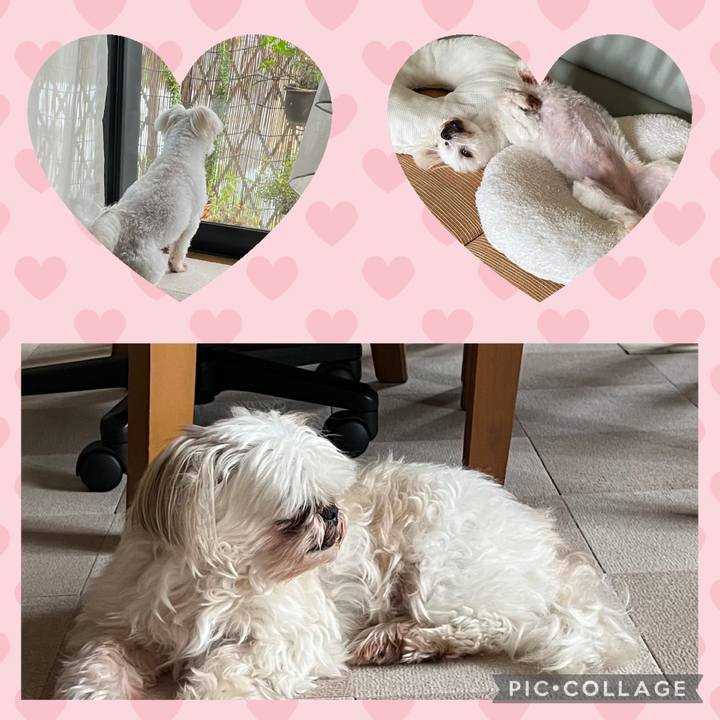 57a8e819 0ea8 4038 bde0 ec8b89382781 1719039761465