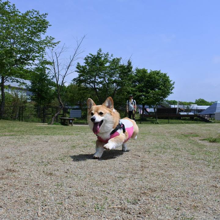 57a8f71f b2d3 4afb abdc 85eb40b4630f 1685448555624