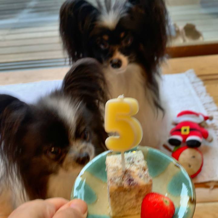 57a8fe13 e841 41d2 ab51 85e2f2552460 1592118909342