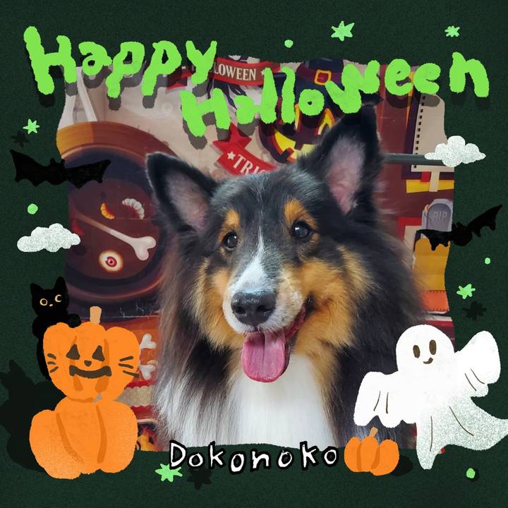 57a905a6 a073 4a68 92e1 303d3b871892 1729336213919