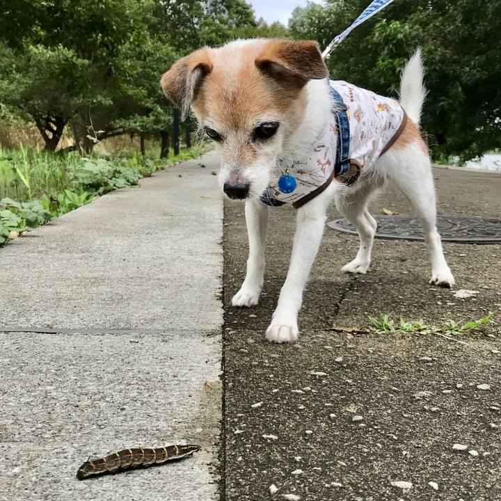 57a92d42 701f 42a9 9e07 3b0f311665ed 1662175212947