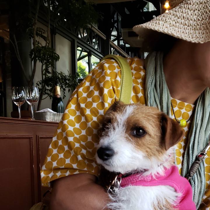 57a9304c 0a91 4886 afc2 c8628bb7b4ef 1558751629270