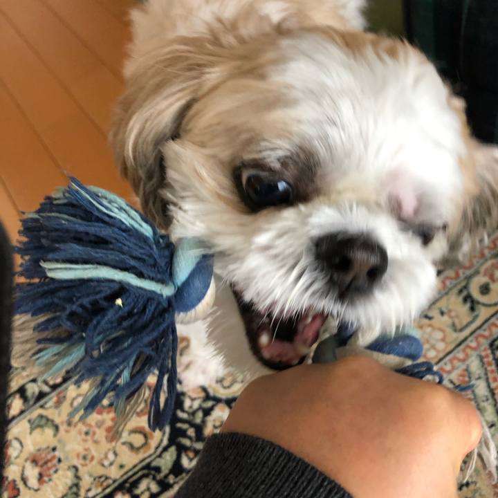 57a93387 d8c8 4c60 8376 8c970e6bd1e5 1574560815218