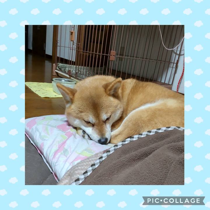 57a93978 b268 4783 87ea 5205d0356b3a 1741175771403