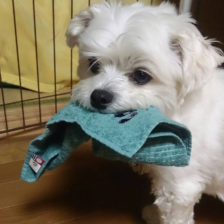 57a9b1f1 804e 4579 9280 ad824d5af83f 1523624402908