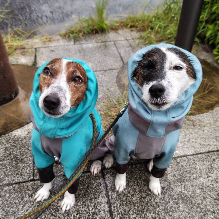 57a9b362 3bfe 490d 8a1d bfdc83410e44 1728425354671