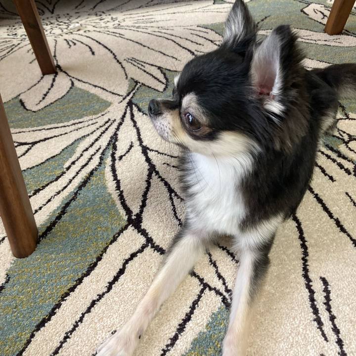 57a9c3f7 9b69 45af 81fd 3025554b27fa 1627098452728