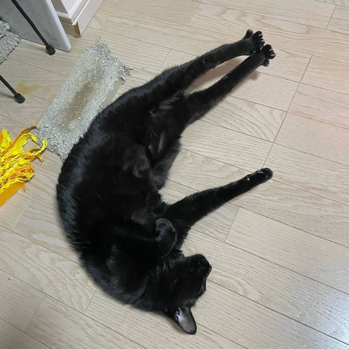 57aa05ea 3d44 48e7 9e18 bc0e3ccf27e8 1768392972763