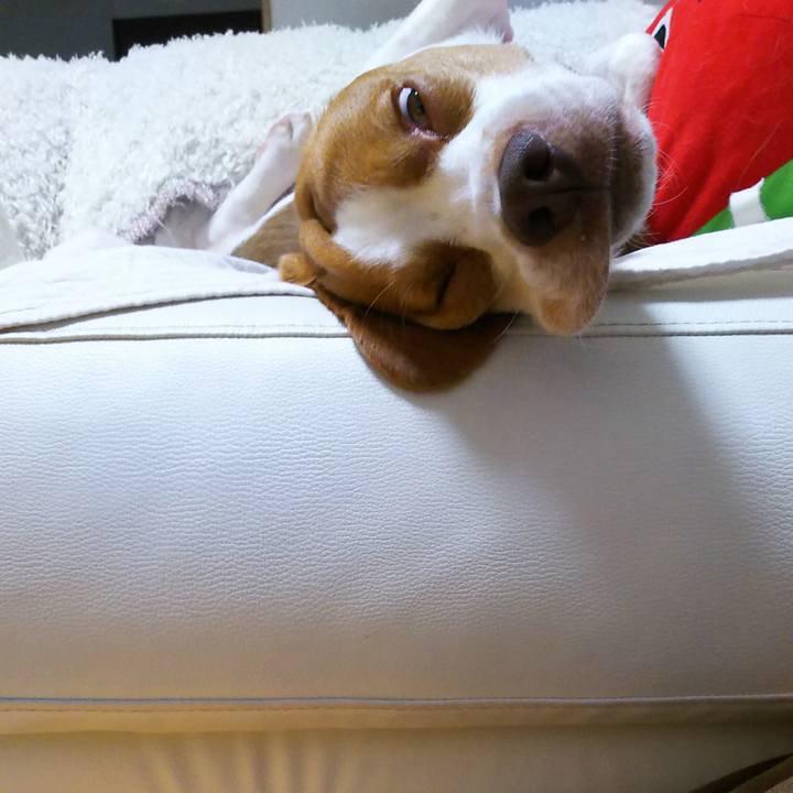 57aa148c 4b3f 4bca a802 07d182fd11bb 1561986838449