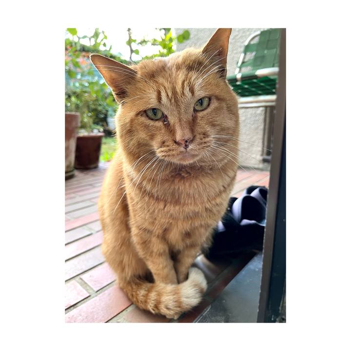 57aa16cc 9524 4aae 95b5 5cdbd15d5e59 1670911015657