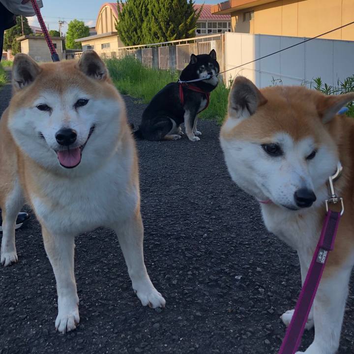 57aa9489 9a91 43ef b3c5 98e0a1a6fb20 1557398920979