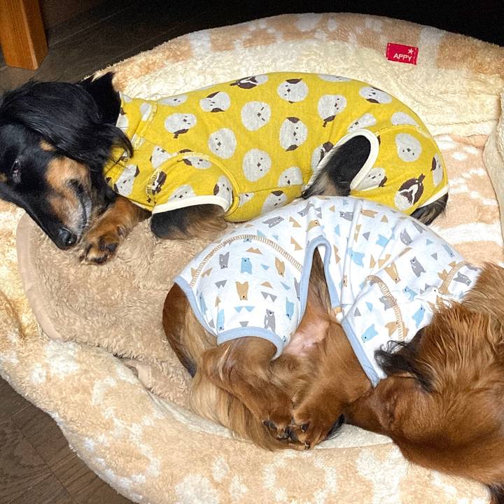 57aab3f0 7876 4217 815f 9066c993f3e8 1706363604641