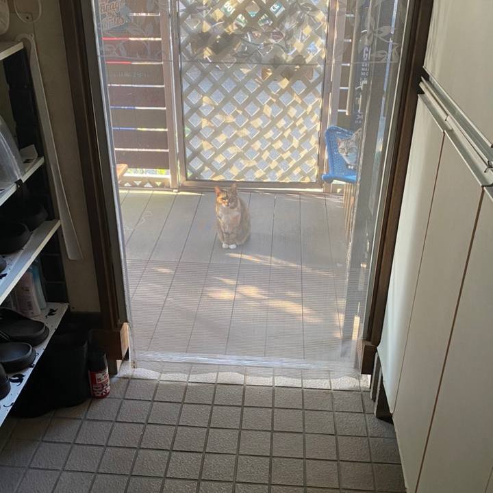 57aabd59 8a27 49d6 874a d7e85c39aaad 1654773991157