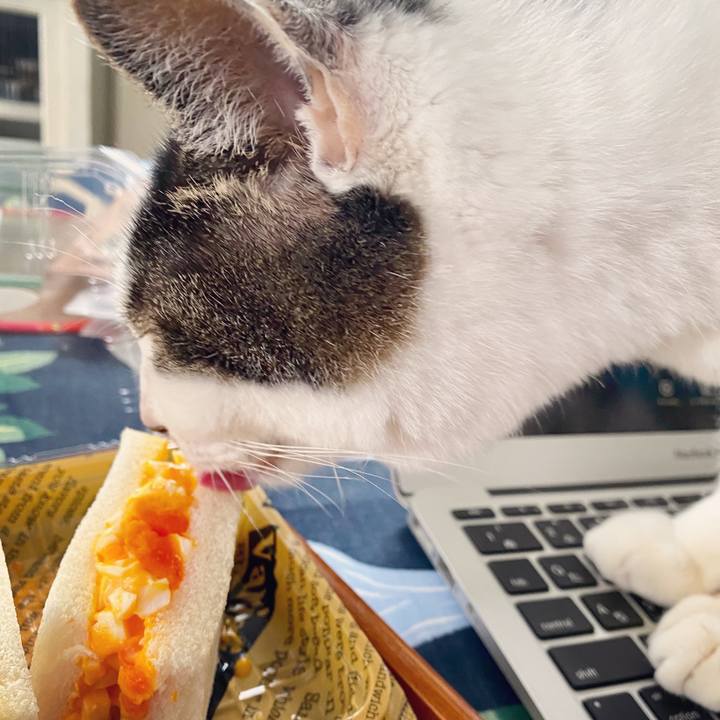 57aada48 0b99 44fe a81a fb23e3e230fb 1585554220705