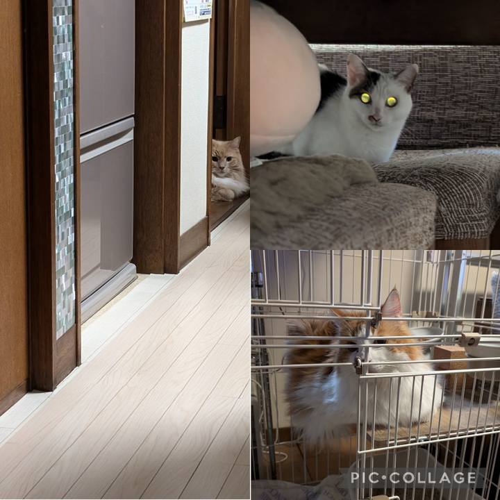 57aae2af 8bf2 4843 9fbf 2faecd28f9dc 1730074772743