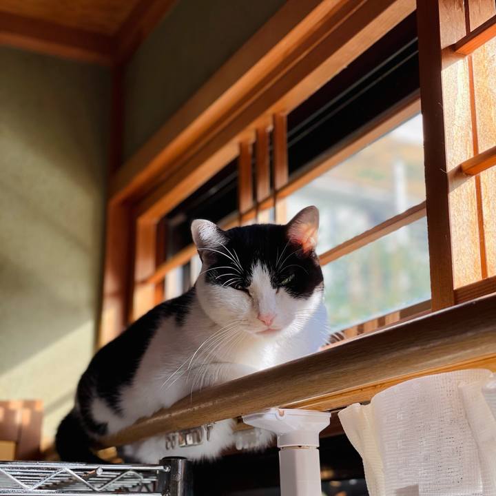 57ab0eae 2428 46e7 beb4 765e1ebe058d 1637203120288