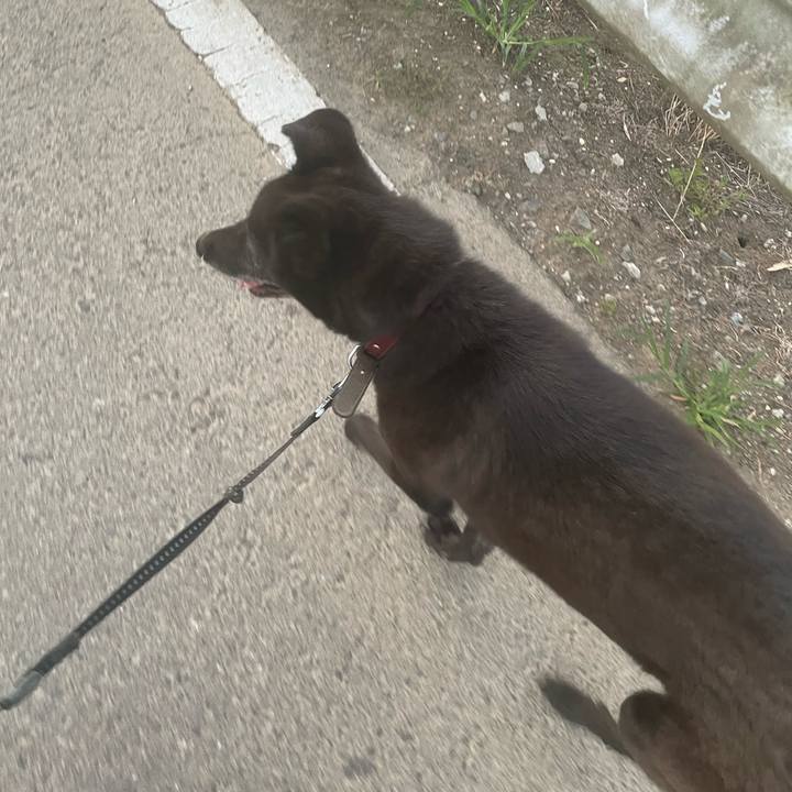 57ab11e2 f64f 4135 a06c f5348171a410 1691267562631