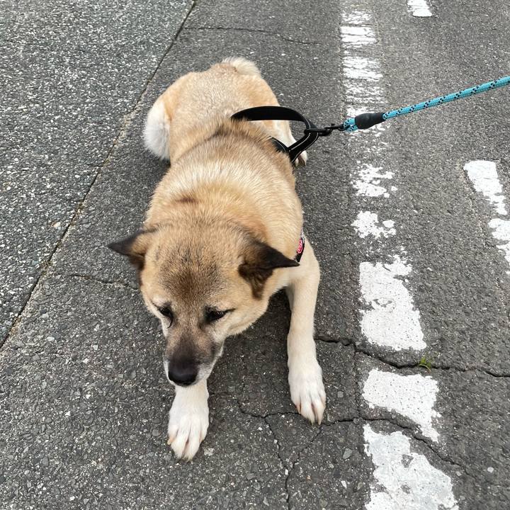 57ab1669 789f 456b a328 9cbd20819f5c 1717759095558