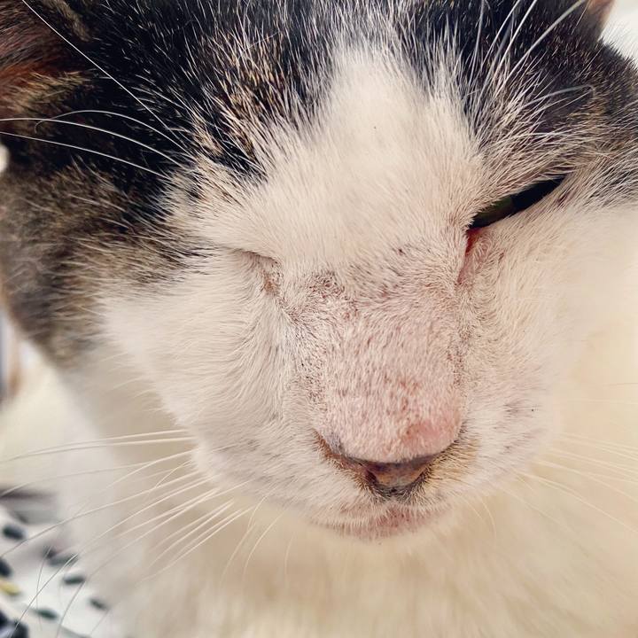 57ab2bb7 715e 4cd1 ba6a d1d90f4e4e42 1599729491974