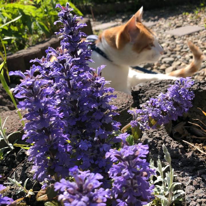 57ab4aa0 4f25 46e2 8476 ac4215ac1170 1558156306682