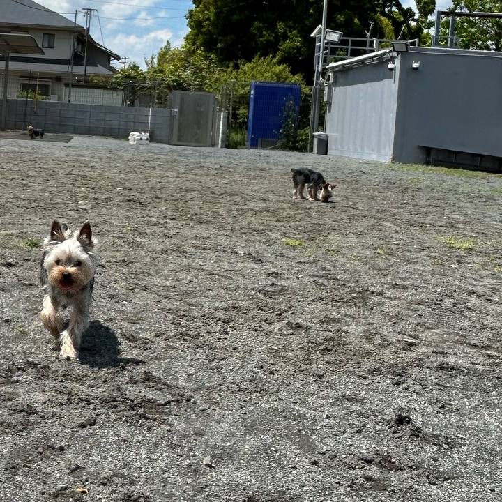 57ab7313 272e 4226 85bd d4aed40ad42c 1745897157277