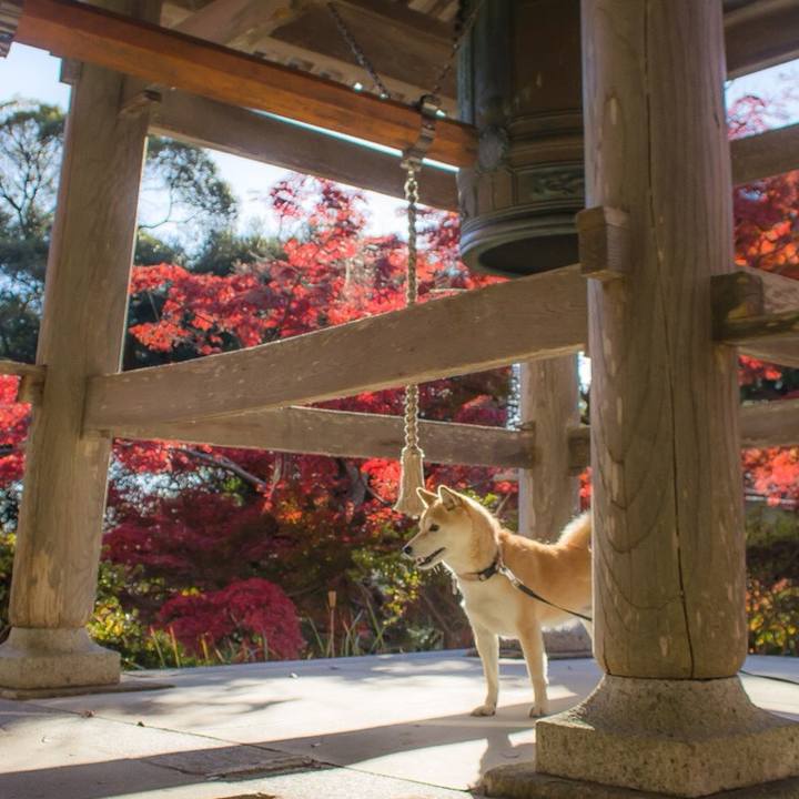 57ab9b53 435c 48f7 8777 f56d654ac122 1512443017048